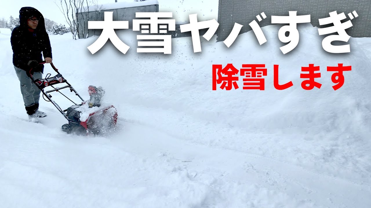 大雪やばすぎない…？？