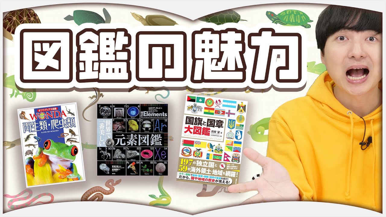 今こそ図鑑を流行らせたい！【夏休みSP】