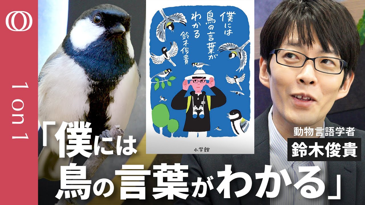 【鳥の言葉が分かる“天才”東大准教授】動物言語学者・鈴木俊貴／鳥にも文法がある／シジュウカラの「ジャージャー」はヘビ！？／「言葉は人間だけ」と決めつけない思考法【CROSS DIG 1on1】