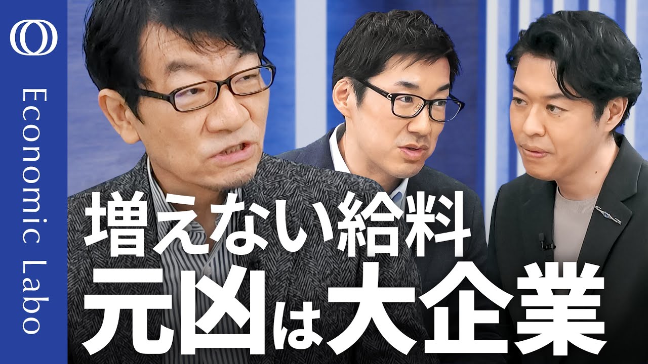 【大企業はもっと賃上げできる】BNPパリバ証券･河野龍太郎／日本の生産性3割UPも実質賃金は約30年横ばい／就職氷河期(ロスジェネ)世代は波に乗れず／一発屋･ゴマすり｢ジョブ型｣の落とし穴【エコラボ】
