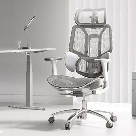 Hbada E3 Airオフィスチェア 椅子 デスクチェ 人間工学 チェア テレワーク 疲れない 人体工学椅 メッシュチェア T字背もたれ 3ゾーンランバーサポート 3Dヘッドレスト 約140度リクライニング メッシュチェア pcチェア パソコンチェア ワークチェア 事務椅子 通気性に優れ 学習用チェア OAチェアグレー E3 (3D アームレスト・オットマンなし)