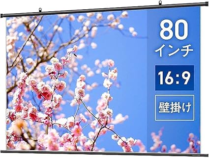 シアターハウス プロジェクター スクリーン 掛け軸タイプ WSDシリーズ (16:9) 80インチ スタンダードマット 日本製