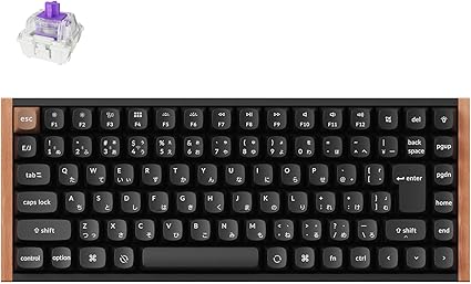 【国内正規品】Keychron K2 HE ラピッドトリガー ワイヤレス カスタムキーボード、ホールエフェクトGateronダブルレール・マグネットスイッチ、2.4GHz・Bluetooth無線対応、QMKプログラム可能、アルミ+ウッドフレーム、JISレイアウト、RGBライト、Mac Windows Linux対応 (ブラック)