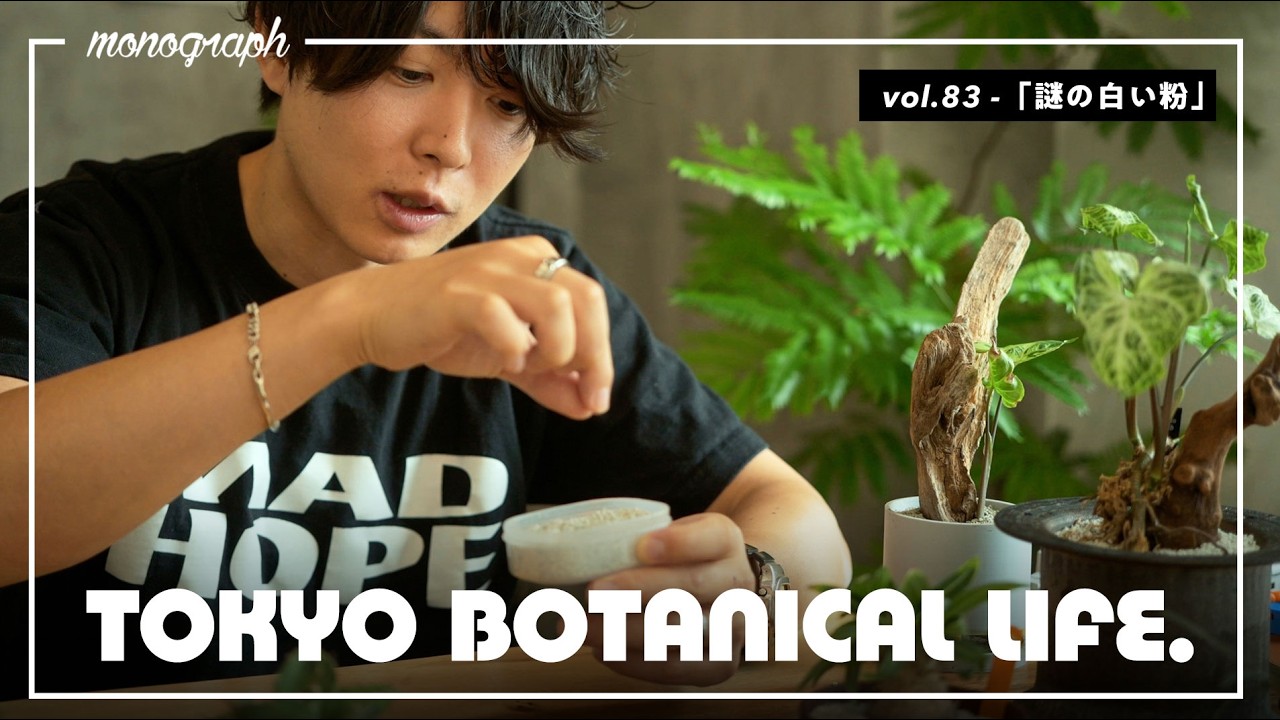 観葉植物が元気に「キマる」謎の白い粉にハマり始めてる…【TBL83】