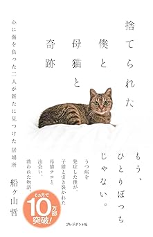 捨てられた僕と母猫と奇跡