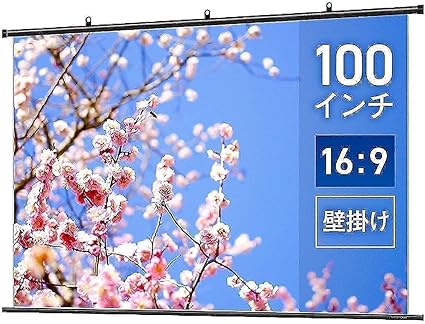 シアターハウス プロジェクター スクリーン 掛け軸タイプ WSDシリーズ (16:9) 100インチ スタンダードマット 日本製