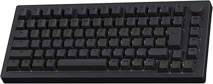 【国内正規品】Akko(アッコ) ラピッドトリガー 8000Hz ゲーミングキーボード 5075S HE JP Dark Night 磁気スイッチ 75% 日本語配列 JISキー SnapKeys (SOCD)対応 Mac Windows両対応 ガスケット構造 PBT昇華印刷キーキャップ RGB対応 ブラック