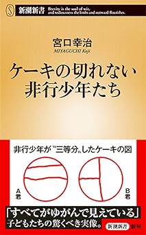 ケーキの切れない非行少年たち (新潮新書)