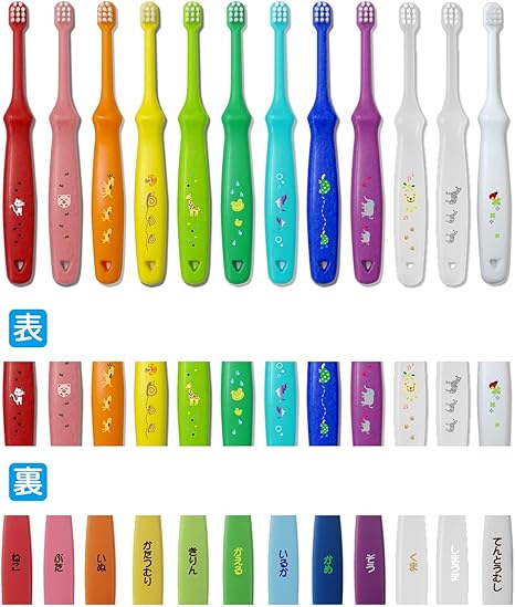 L APIS: ラピス 乳幼児 歯ブラシ 歯科推奨 ハッピーカラー 12本入 動物柄 乳歯 安全設計 赤ちゃん 1歳 2歳 3歳 プレゼント 知育 いろえんぴつ ベビー アニマルエコ包装