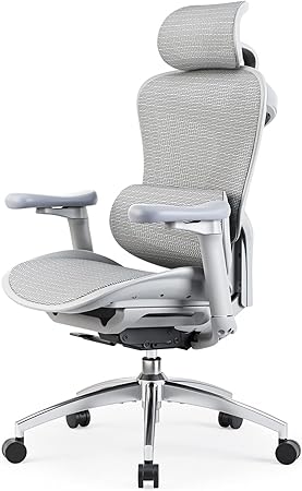 SIHOO Doro C300 オフィスチェア 椅子 デスクチェア 人間工学 テレワーク 疲れない 人体工学椅 メッシュチェア 4段階調整S字背もたれ 自動適応ランバーサポート 4D連動アームレスト 3Dヘッドレスト 約130度リクライニング 耐荷重135KG 事務椅子 通気性に優れ (海外版)グレー