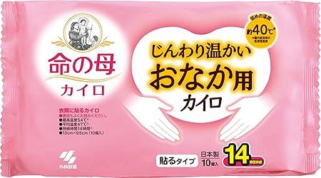 桐灰カイロ 小林製薬 命の母 カイロ じんわり温かい おなか用カイロ 10個入