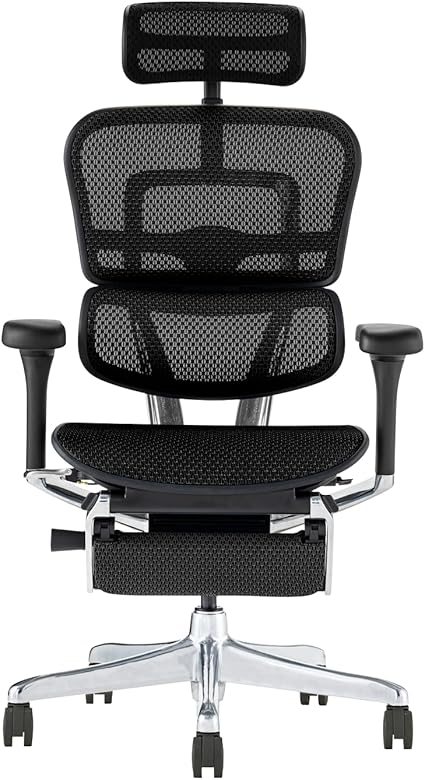 【メーカー組立済 完成品】Ergohuman エルゴヒューマン プロ2 オットマン ハイバック 座メッシュ エラストメリックメッシュ (フレーム ブラック × メッシュ ブラック) EHP2-LPL-BF-BK