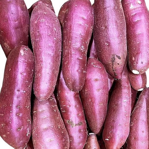 さつまいも 5KG 紅はるか 紅東 或いはシルクスイート サツマイモ 焼き芋に 千葉県・茨城県産地厳選 B品 美味しい やきいもに 食物繊維 美容 スイーツ ギフト