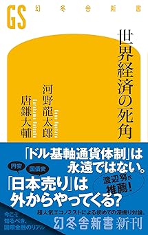 世界経済の死角 (幻冬舎新書 777)